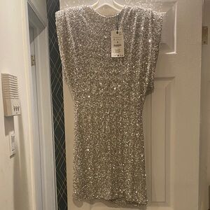 Zara Shimmering Silver Sequin Dress